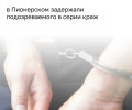 Полиция задержала калининградца, подозреваемого в кражах из магазинов