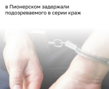 Полиция задержала калининградца, подозреваемого в кражах из магазинов