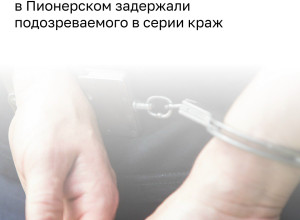 Полиция задержала калининградца, подозреваемого в кражах из магазинов