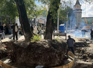 Подрядчика оштрафуют за повреждение корней деревьев у Северного вокзала