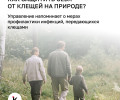 С начала года более 4 тысяч жителей Калининградской области обратились к врачам из-за укусов клещей