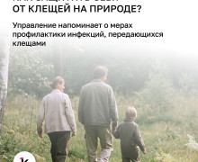 С начала года более 4 тысяч жителей Калининградской области обратились к врачам из-за укусов клещей