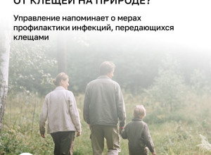 С начала года более 4 тысяч жителей Калининградской области обратились к врачам из-за укусов клещей