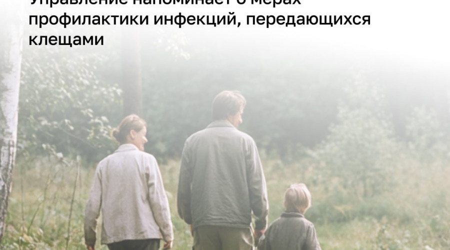 С начала года более 4 тысяч жителей Калининградской области обратились к врачам из-за укусов клещей