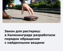В Калининграде утвердили регламент обращения с находками на улицах