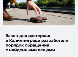 В Калининграде утвердили регламент обращения с находками на улицах
