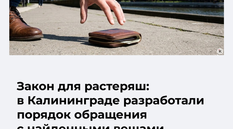 В Калининграде утвердили регламент обращения с находками на улицах