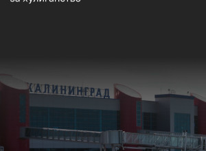 В аэропорту Храброво задержали пассажира за мелкое хулиганство на борту самолета