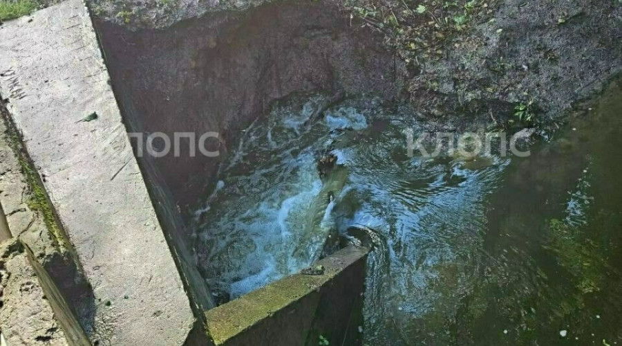 В Калининграде после ливней у Летнего озера размываются берега у двух мостов