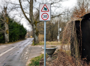 В Калининградской области объяснили значение дорожного знака с лягушкой