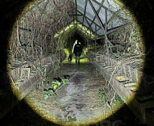 Кукольные головы на деревьях: калининградцы рассказали о загадочных находках в лесах