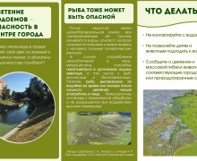 Цианотоксины в Верхнем озере: почему цветение воды в Калининграде опасно и как это связано с очисткой