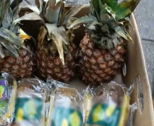 Калининградка рассказала, почему почти год не покупает продукты и одежду