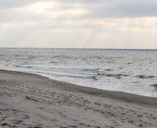 Пасмурная неделя с ночными заморозками ожидается в Калининградской области