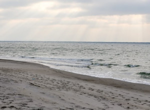 Пасмурная неделя с ночными заморозками ожидается в Калининградской области