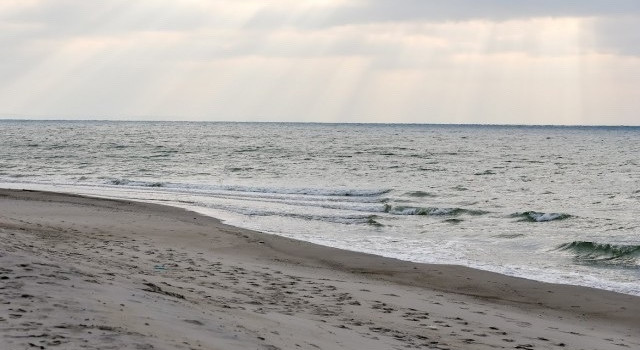 Пасмурная неделя с ночными заморозками ожидается в Калининградской области