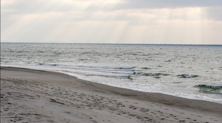 Пасмурная неделя с ночными заморозками ожидается в Калининградской области