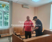 Житель Калининграда осужден на пять месяцев за долг по алиментам в два миллиона рублей