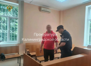 Житель Калининграда осужден на пять месяцев за долг по алиментам в два миллиона рублей