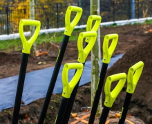 На озеленение Калининграда выделено 23,5 млн рублей для высадки более 500 растений