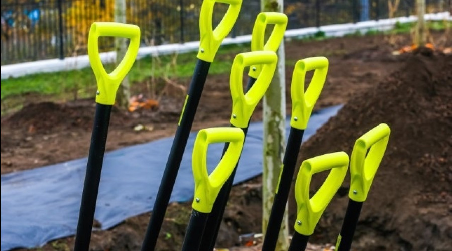 На озеленение Калининграда выделено 23,5 млн рублей для высадки более 500 растений