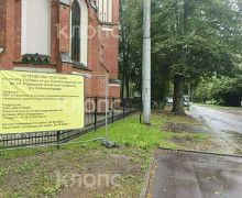 На проспекте Победы в Калининграде продолжили ремонт тротуара: жители обеспокоены сохранностью деревьев