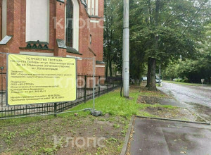 На проспекте Победы в Калининграде продолжили ремонт тротуара: жители обеспокоены сохранностью деревьев