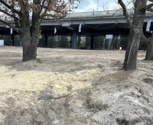 Благоустройство острова Канта в Калининграде планируют завершить в конце мая