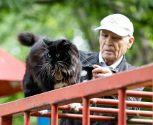 На улице Багратиона живёт знаменитый кот Васенька