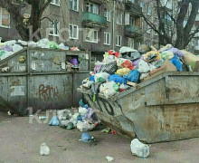 Четыре улицы Калининграда с переполненными контейнерными площадками