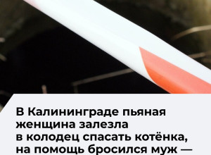 В Калининграде нетрезвые супруги оказались в колодце и не могли выбраться