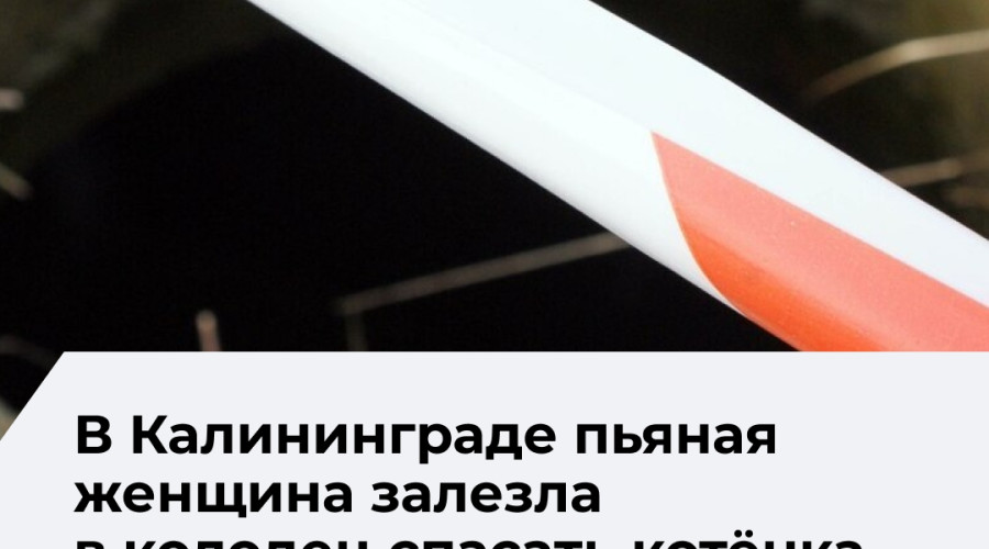 В Калининграде нетрезвые супруги оказались в колодце и не могли выбраться