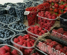 Ягодный сезон в Калининградской области: цены на рынках и варианты для самостоятельного сбора