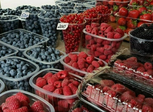 Ягодный сезон в Калининградской области: цены на рынках и варианты для самостоятельного сбора