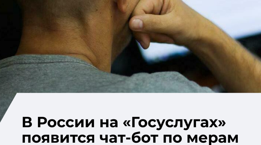 Правительство утвердило порядок информирования о мерах соцподдержки через чат-бот на «Госуслугах»