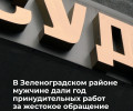 Житель Калининграда осуждён за жестокое обращение с котятами на глазах у дочери