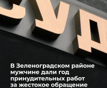 Житель Калининграда осуждён за жестокое обращение с котятами на глазах у дочери