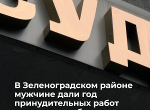 Житель Калининграда осуждён за жестокое обращение с котятами на глазах у дочери