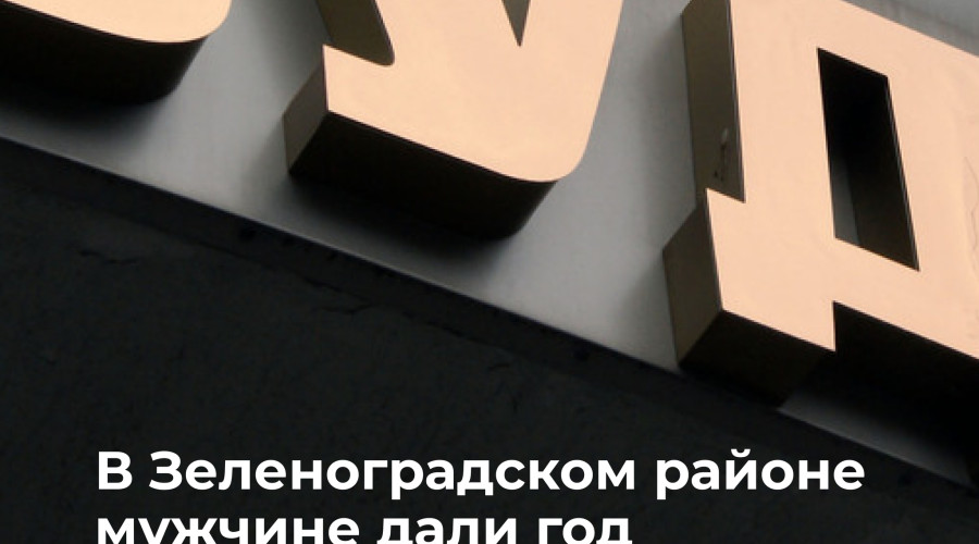 Житель Калининграда осуждён за жестокое обращение с котятами на глазах у дочери