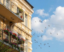 Советск в Калининградской области: город с атмосферой старой Европы