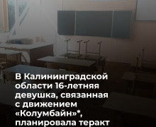 Подросток из Калининградской области осуждён за пропаганду запрещённого движения