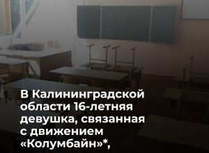 Подросток из Калининградской области осуждён за пропаганду запрещённого движения