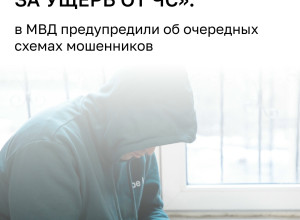 Мошенники используют выплаты за ущерб от ЧС и проверки товаров в своих схемах