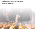 В Калининграде продлили особый противопожарный режим до конца июня
