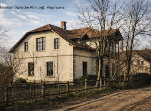 Орнитологическая станция в Росситтене: история изучения птиц на Куршской косе
