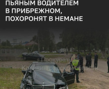 Годовалая девочка, пострадавшая в ДТП с пьяным водителем в Прибрежном, остается в реанимации