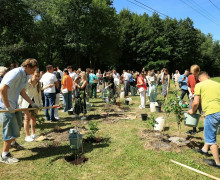 Выпускники-медалисты высадили 150 кустов сирени у Летнего озера в Калининграде