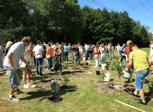 Выпускники-медалисты высадили 150 кустов сирени у Летнего озера в Калининграде