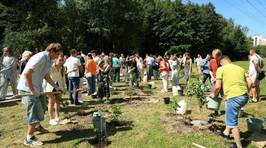 Выпускники-медалисты высадили 150 кустов сирени у Летнего озера в Калининграде