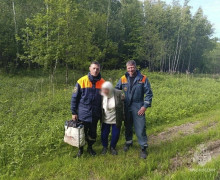 В лесу под Низовкой спасатели нашли 87-летнюю женщину, которая не могла выбраться самостоятельно